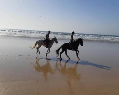 Balade à cheval à Taghazout - 2h - Tourisme Agadir Souss-Massa