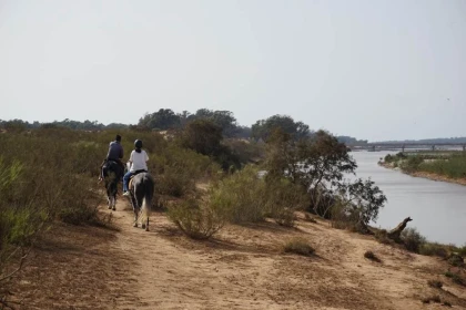 Balade à cheval ou à poney - 1h30 - Tourisme Agadir Souss-Massa