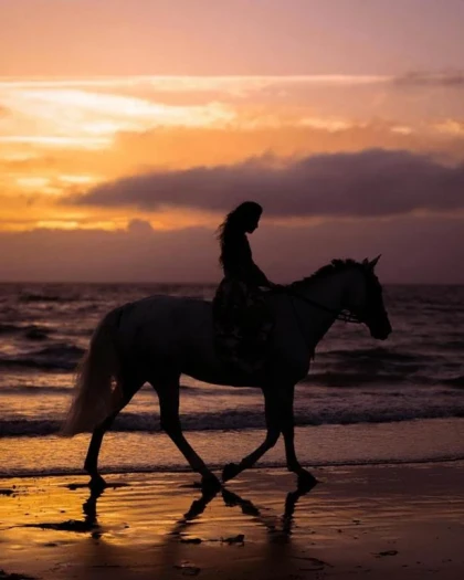 Balade à cheval - Tourisme Agadir Souss-Massa