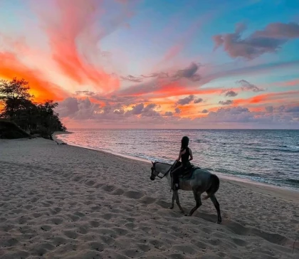 Balade à cheval - Tourisme Agadir Souss-Massa