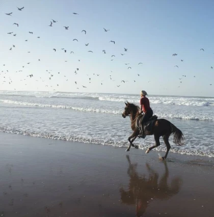 Balade à cheval - Tourisme Agadir Souss-Massa