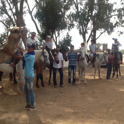 Balade à cheval - Tourisme Agadir Souss-Massa