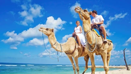 Balade à dos de chameau à Agadir - Tourisme Agadir Souss-Massa