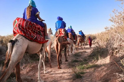 Balade à dos de Chameau - Tourisme Agadir Souss-Massa