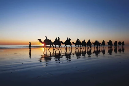 BALADE DROMADAIRE AVEC BARBECUE - Tourisme Agadir Souss-Massa