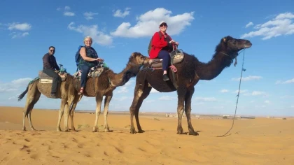 Ballade en Dromadaire à Agadir - Tourisme Agadir Souss-Massa