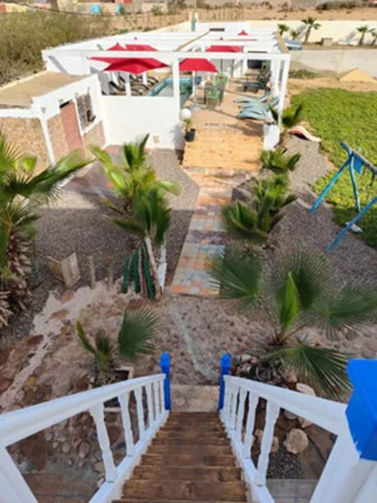 Cheval Détente en Bord de Mer - Tourisme Agadir Souss-Massa