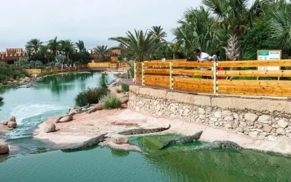 Crocoparc et jardin botanique - Tourisme Agadir Souss-Massa