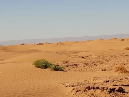 De Foum zguid au désert de Chegaga 2 jours- 1 nuit - Tourisme Agadir Souss-Massa