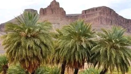 De Foum Zguid au désert de l'Erg El Mahzil en bivouac 2jours /1 nuit - Tourisme Agadir Souss-Massa