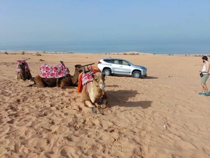 Excursion 4x4 Petit Désert de Massa depuis Agadir - Tourisme Agadir Souss-Massa