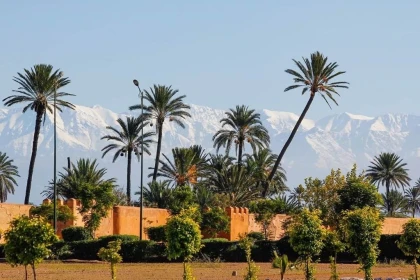 Excursion à Taroudant depuis Agadir demi-journée - Tourisme Agadir Souss-Massa