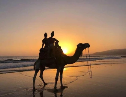 Excursion Balade à dos de dromadaire à Agadir – 1 heure - Tourisme Agadir Souss-Massa