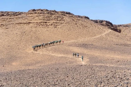 Excursion Lac Iriki & Gravures Rupestres du Djebel Bani – 4 jours depuis Foum Zguid - Tourisme Agadir Souss-Massa