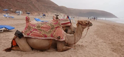 Excursion Legzira - Journée - Tourisme Agadir Souss-Massa
