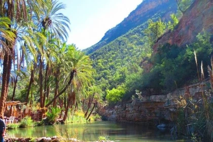 Excursion privée Vallée du Paradis depuis Agadir – Demi-journée - Tourisme Agadir Souss-Massa