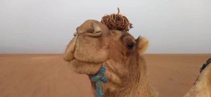 EXCURSIONS DESERT IRIKI - Tourisme Agadir Souss-Massa