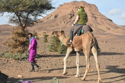 Expédition Désert : Trek à dos de dromadaire vers Erg Chegaga & Lac Iriki – 8 jours - Tourisme Agadir Souss-Massa