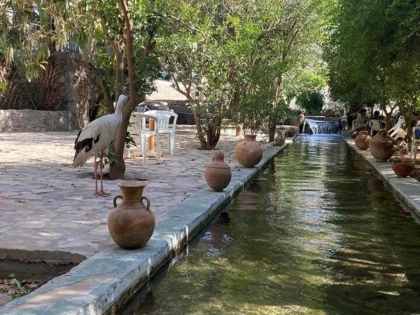 Expérience Agadir Massa - Tourisme Agadir Souss-Massa