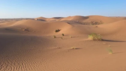 Les dunes Zawiya - 2 jours / 1 nuit - Tourisme Agadir Souss-Massa