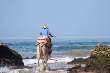 Namaste Lodge Experience - Tourisme Agadir Souss-Massa