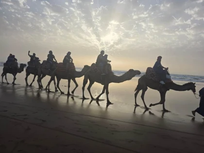 Offre camel ride  + dïner + transfert+ animation berbère - Tourisme Agadir Souss-Massa