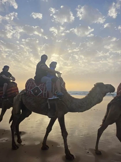 Offre camel ride  + dïner + transfert+ animation berbère - Tourisme Agadir Souss-Massa