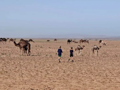 Parc national d'iriqui et les dunes - Tourisme Agadir Souss-Massa