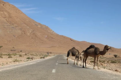 E-Bike : Randonnée Tata - Afra Oasis - Tourisme Agadir Souss-Massa