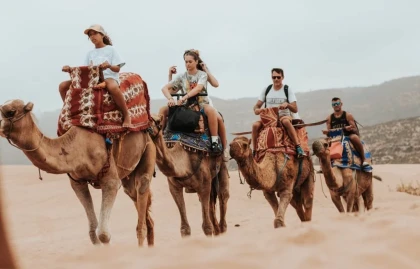 Sandboarding & Camel ride - Tourisme Agadir Souss-Massa