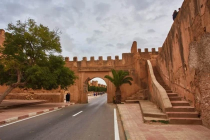 Tiout l'oasis et Taroudant - Tourisme Agadir Souss-Massa