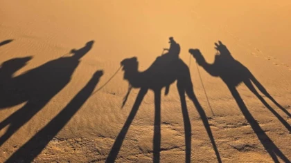 Trek erg lghoul _erg lmhazil 4 jours 3nuit - Tourisme Agadir Souss-Massa