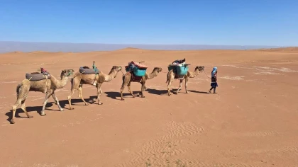 Trek les dunes -erg lghoul - 3 jours / 2 nuits - Tourisme Agadir Souss-Massa