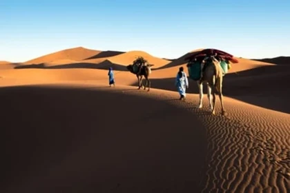 trekking , 1 nuit bivouac oasis Chebbi, Erg El Mahzil et nuit au lac Iriki : 3jours-2 nuits - Tourisme Agadir Souss-Massa