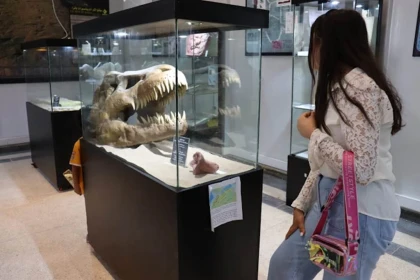 Visite classique du musée - Tourisme Agadir Souss-Massa