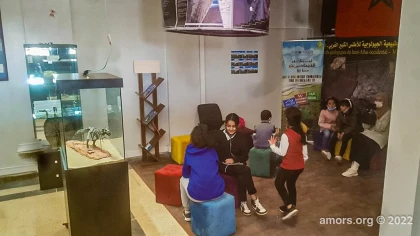 Visite classique du musée - Tourisme Agadir Souss-Massa