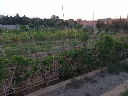 Circuit de l’eau et des oasis - Tourisme Agadir Souss-Massa