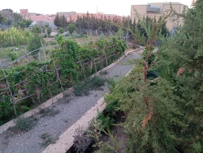 Circuit de l’eau et des oasis - Tourisme Agadir Souss-Massa