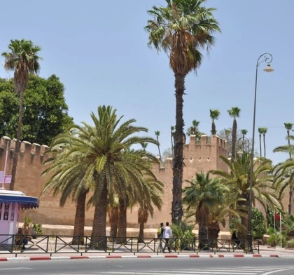 Excursion à Taroudant depuis Agadir demi-journée - Tourisme Agadir Souss-Massa