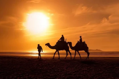 Excursion Balade à dos de dromadaire à Agadir – 1 heure - Tourisme Agadir Souss-Massa