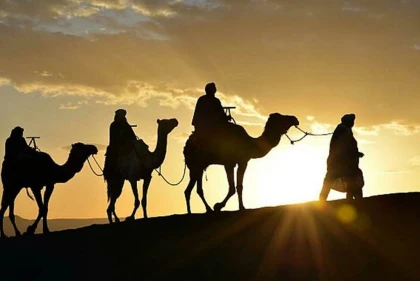 Excursion Balade à dos de dromadaire à Agadir – 1 heure - Tourisme Agadir Souss-Massa