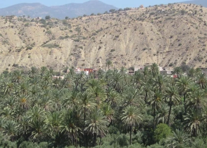 Excursion Imouzzer depuis Agadir demi-journée - Tourisme Agadir Souss-Massa
