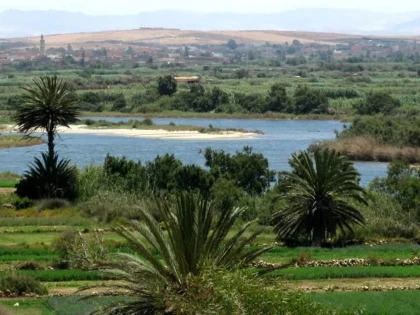 Excursion privée Animal Park Souss-Massa depuis Agadir demi-journée - Tourisme Agadir Souss-Massa