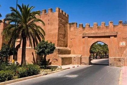 Excursion Taroudant & Oasis de Tiout depuis Agadir – 1 Jour - Tourisme Agadir Souss-Massa