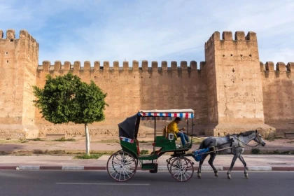 Excursion Taroudant & Oasis de Tiout depuis Agadir – 1 Jour - Tourisme Agadir Souss-Massa