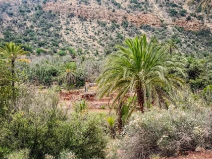Excursion visite de la vallée du Paradis au départ d’Agadir demi-journée - Tourisme Agadir Souss-Massa