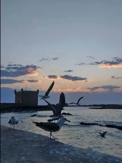 Expérience Agadir Essaouira - Tourisme Agadir Souss-Massa