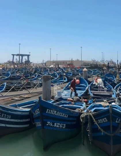 Expérience Agadir Essaouira - Tourisme Agadir Souss-Massa