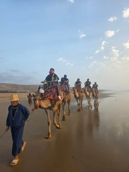 Offre camel ride  + dïner + transfert+ animation berbère - Tourisme Agadir Souss-Massa