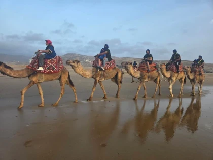 Offre camel ride  + dïner + transfert+ animation berbère - Tourisme Agadir Souss-Massa